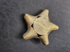 Oversized African Brass Star Bead – Ashanti Spiral Focal Bead